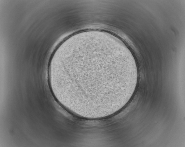 X0000112811232200910021134