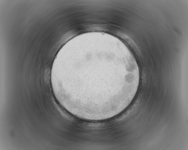 X0000112811233200910021134