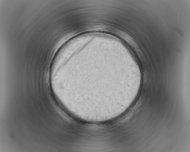 X0000112811234200910021134