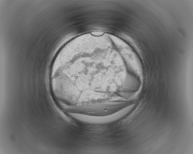 X0000112811235200910021134