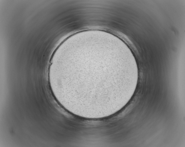 X0000112811236200910021134