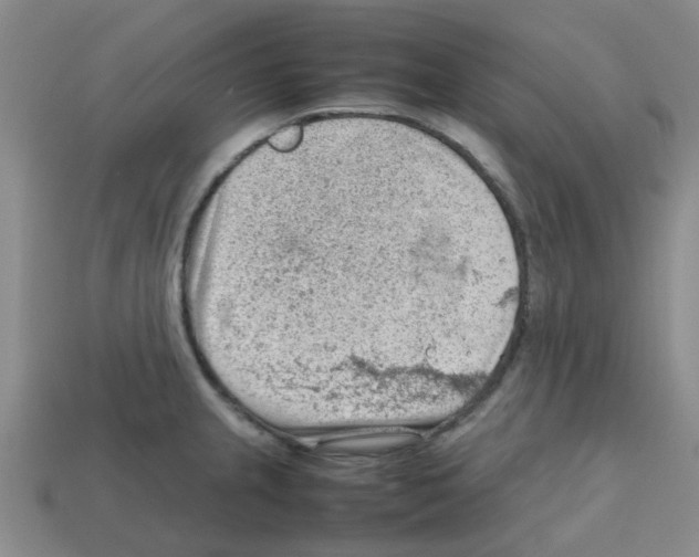 X0000112811237200910021134