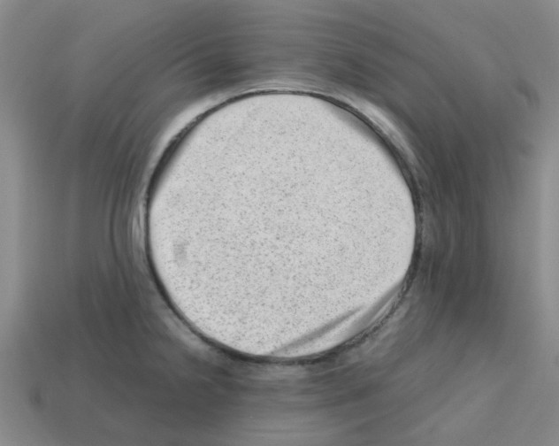 X0000112811238200910021134