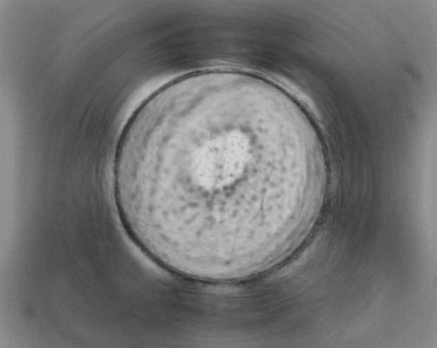 X0000112811239200910021134