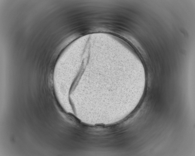 X0000112811241200910021134