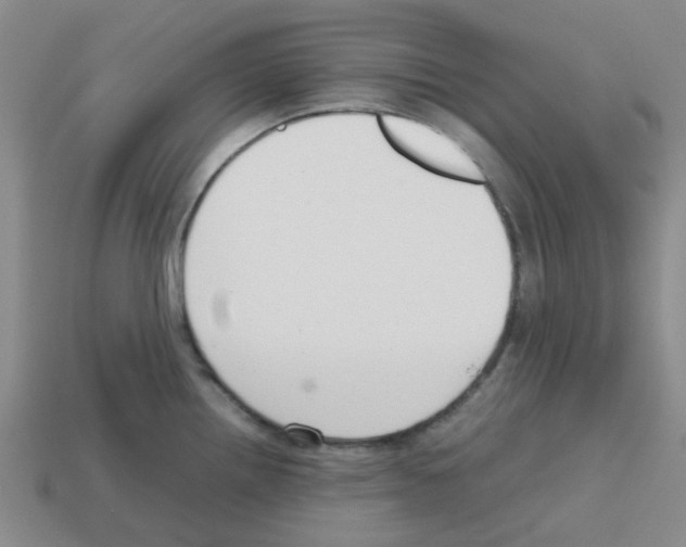 X0000112811242200910021134