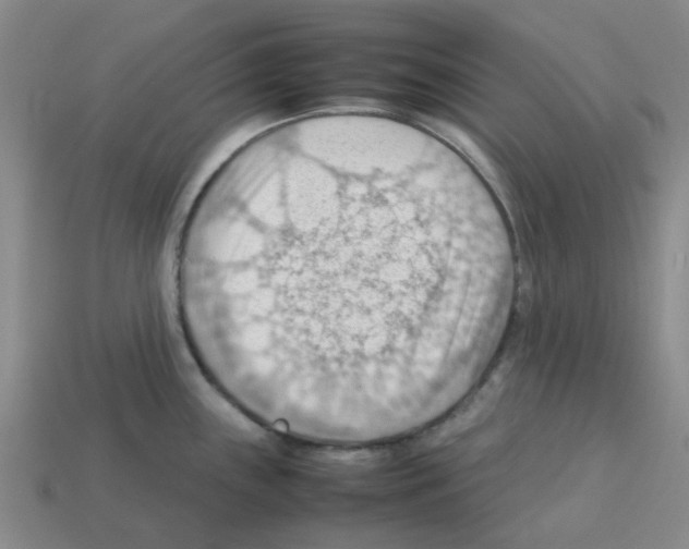 X0000112811243200910021134