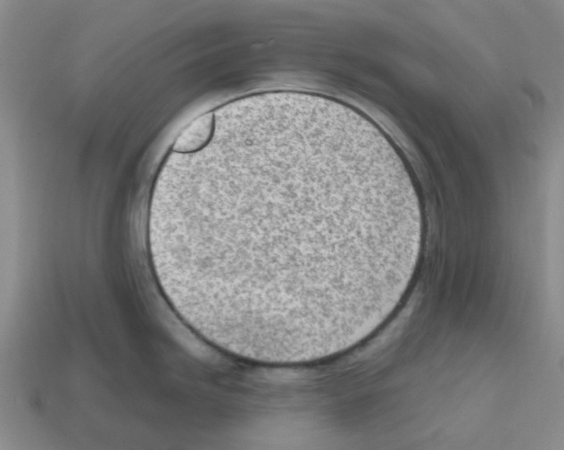 X0000112811246200910021134