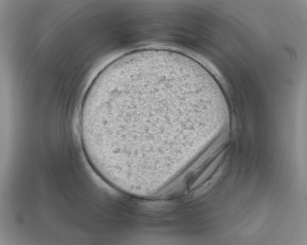 X0000112811247200910021134