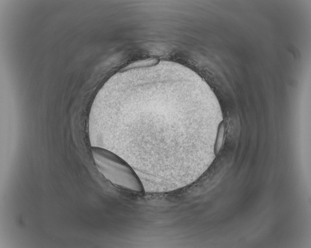 X0000112811249200910021133