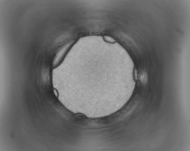 X0000112811252200910021133