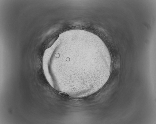 X0000112811253200910021133
