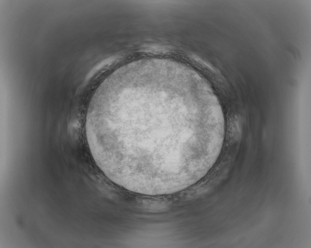 X0000112811254200910021133