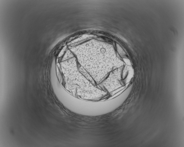 X0000112811255200910021133