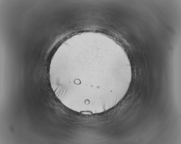X0000112811256200910021133