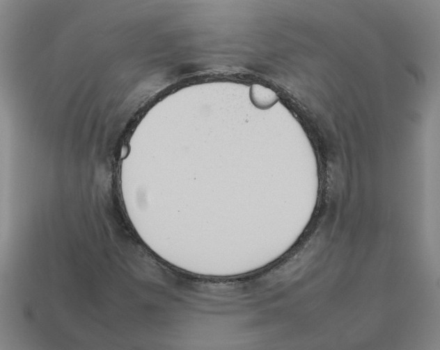 X0000112811257200910021133