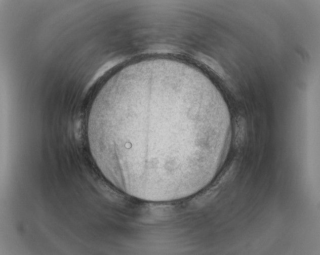 X0000112811258200910021133