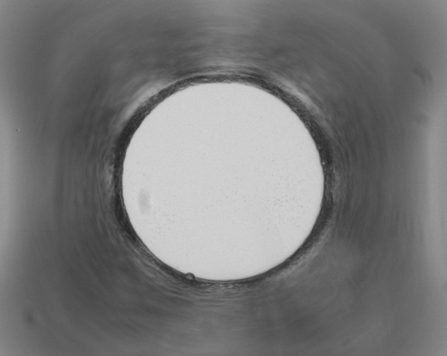 X0000112811259200910021133