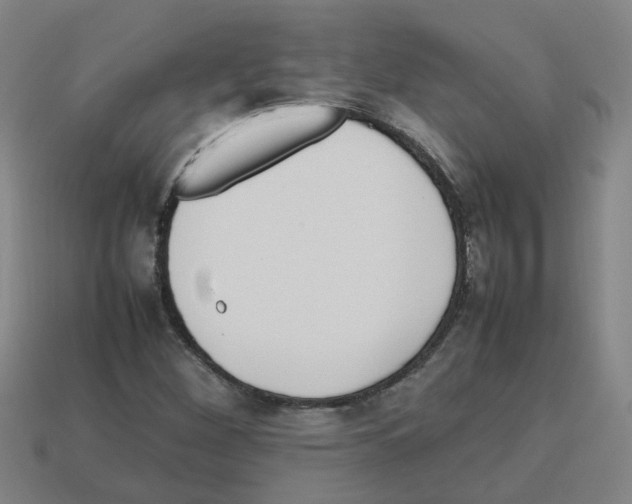 X0000112811260200910021133