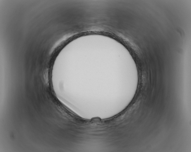 X0000112811262200910021133
