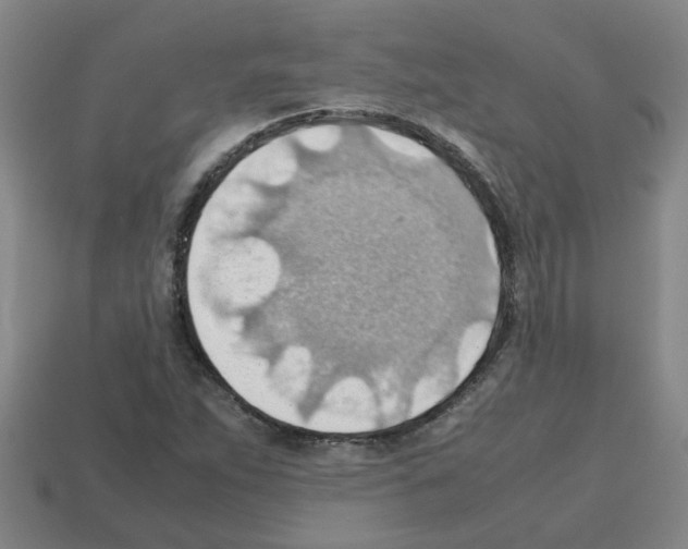 X0000112811263200910021133