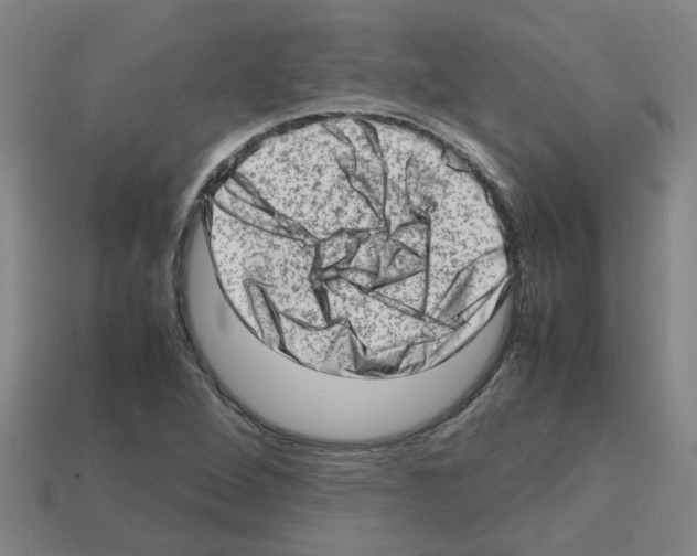 X0000112811264200910021133