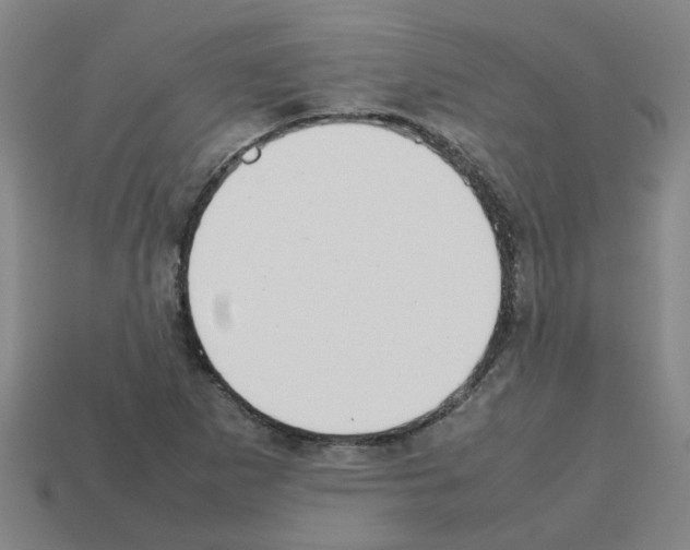 X0000112811265200910021133
