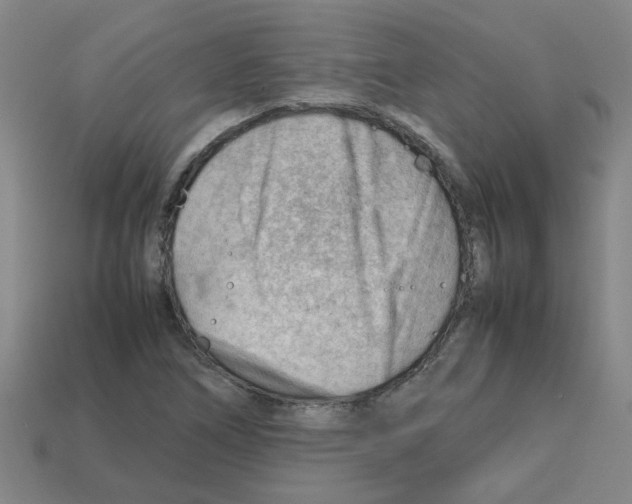 X0000112811266200910021133