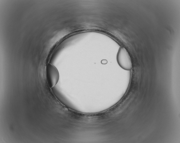 X0000112811269200910021133