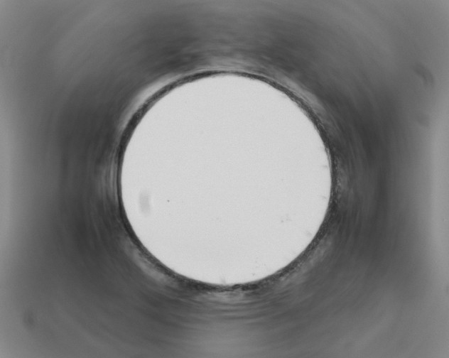 X0000112811272200910021133