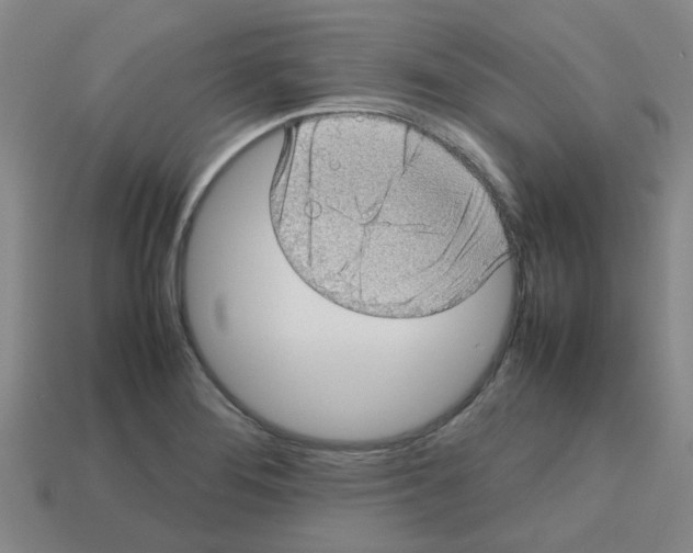 X0000112811276200910021133