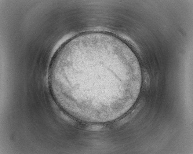 X0000112811278200910021133