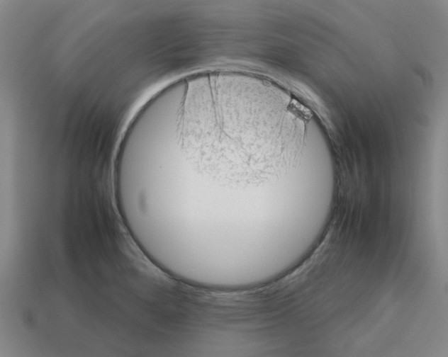 X0000112811280200910021133