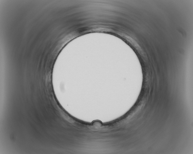 X0000112811281200910021133
