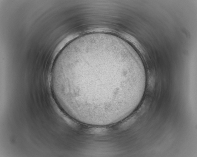 X0000112811282200910021133