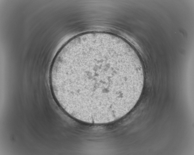 X0000112811283200910021133