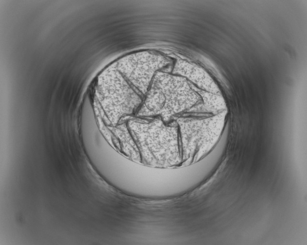 X0000112811284200910021133