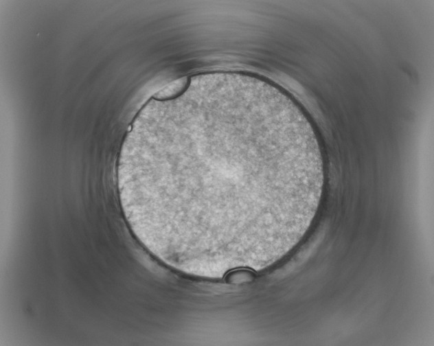 X0000112811289200910021133