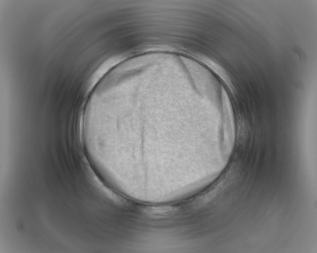 X0000112811290200910021133