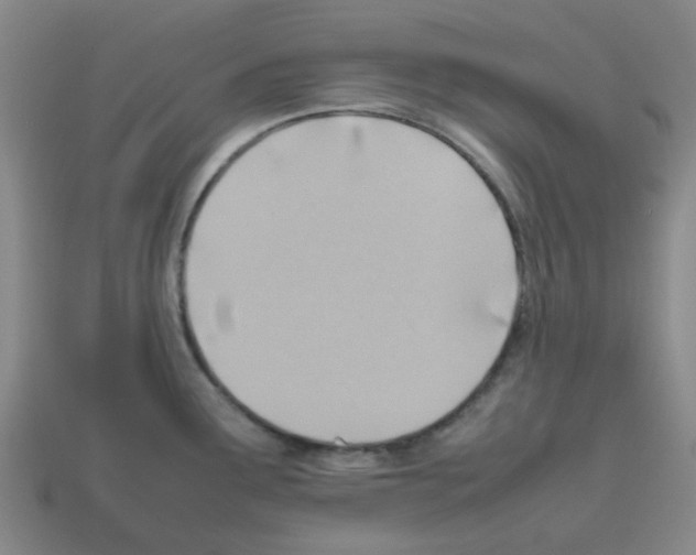 X0000112811291200910021133