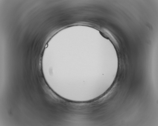 X0000112811292200910021133