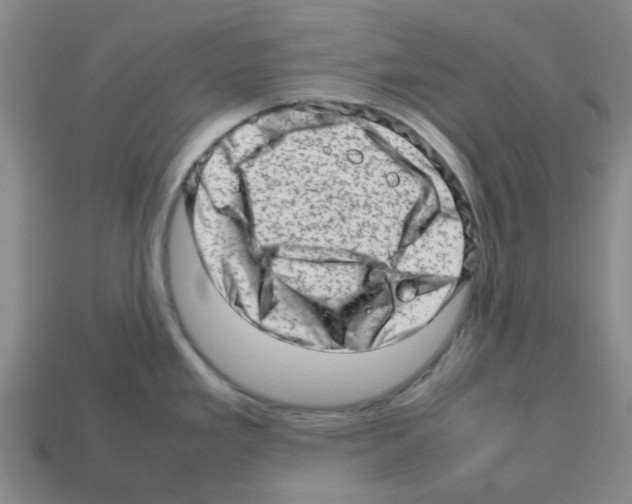 X0000112811293200910021133