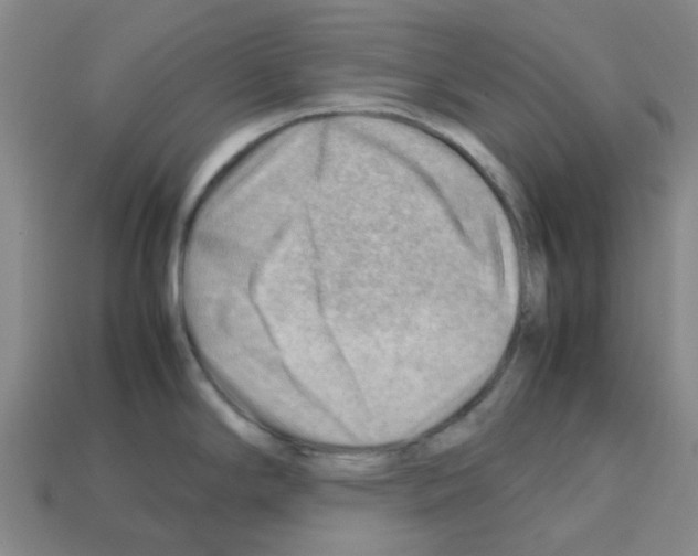 X0000112811294200910021133