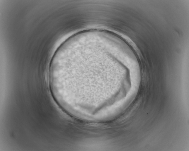 X0000112811295200910021133
