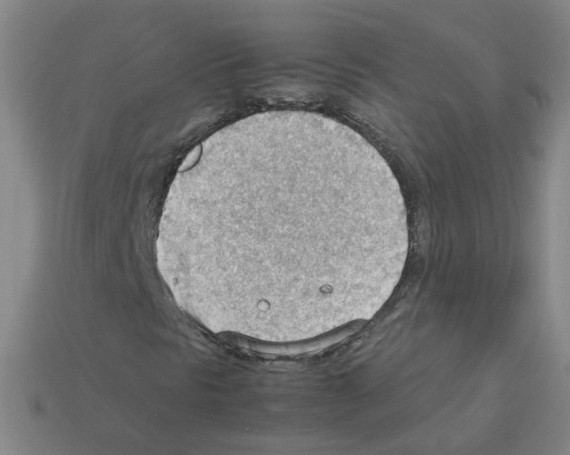 X0000112811297200910021132