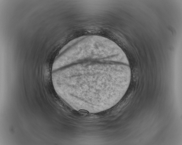 X0000112811298200910021132