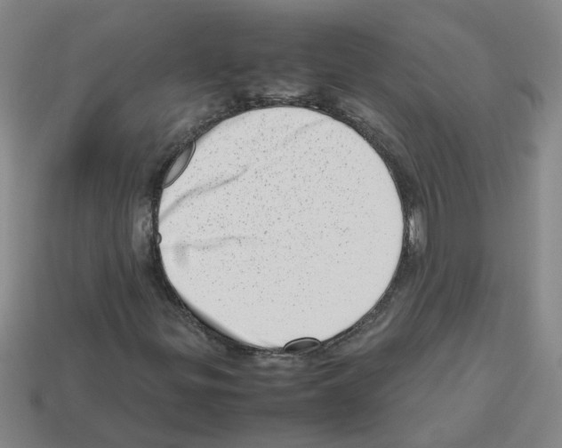 X0000112811299200910021132
