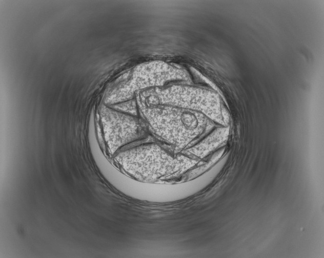 X0000112811300200910021132
