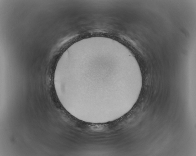 X0000112811303200910021132