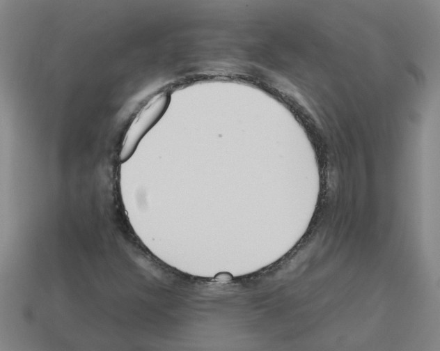 X0000112811304200910021132